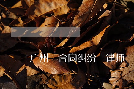 广州 合同纠纷 律师 广州 合同纠纷 律师